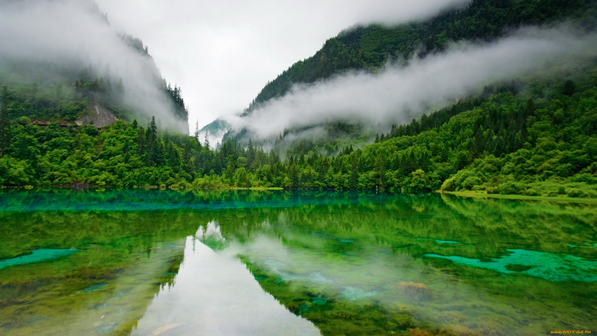 природа, реки, озера, озеро, горы, туман, зелень