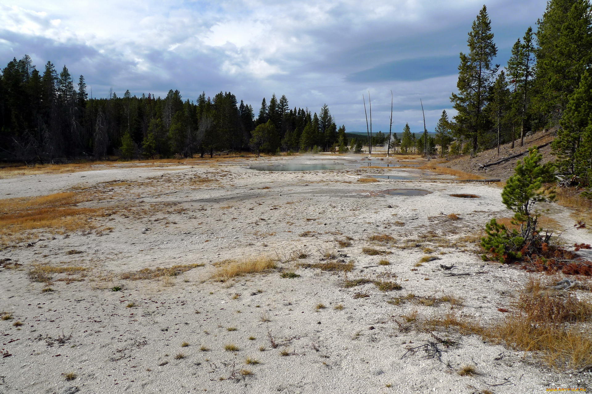 yellowstone, national, park, природа, другое