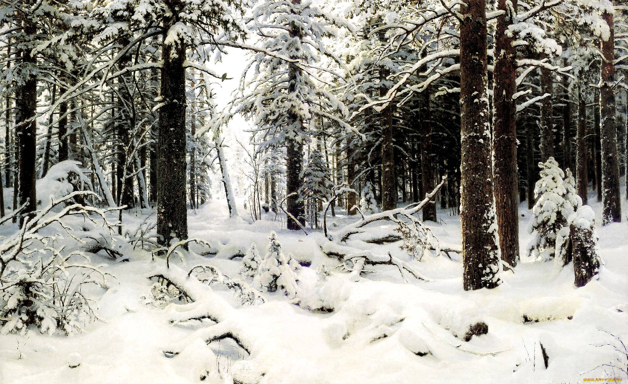 природа, зима, лес, деревья, снег