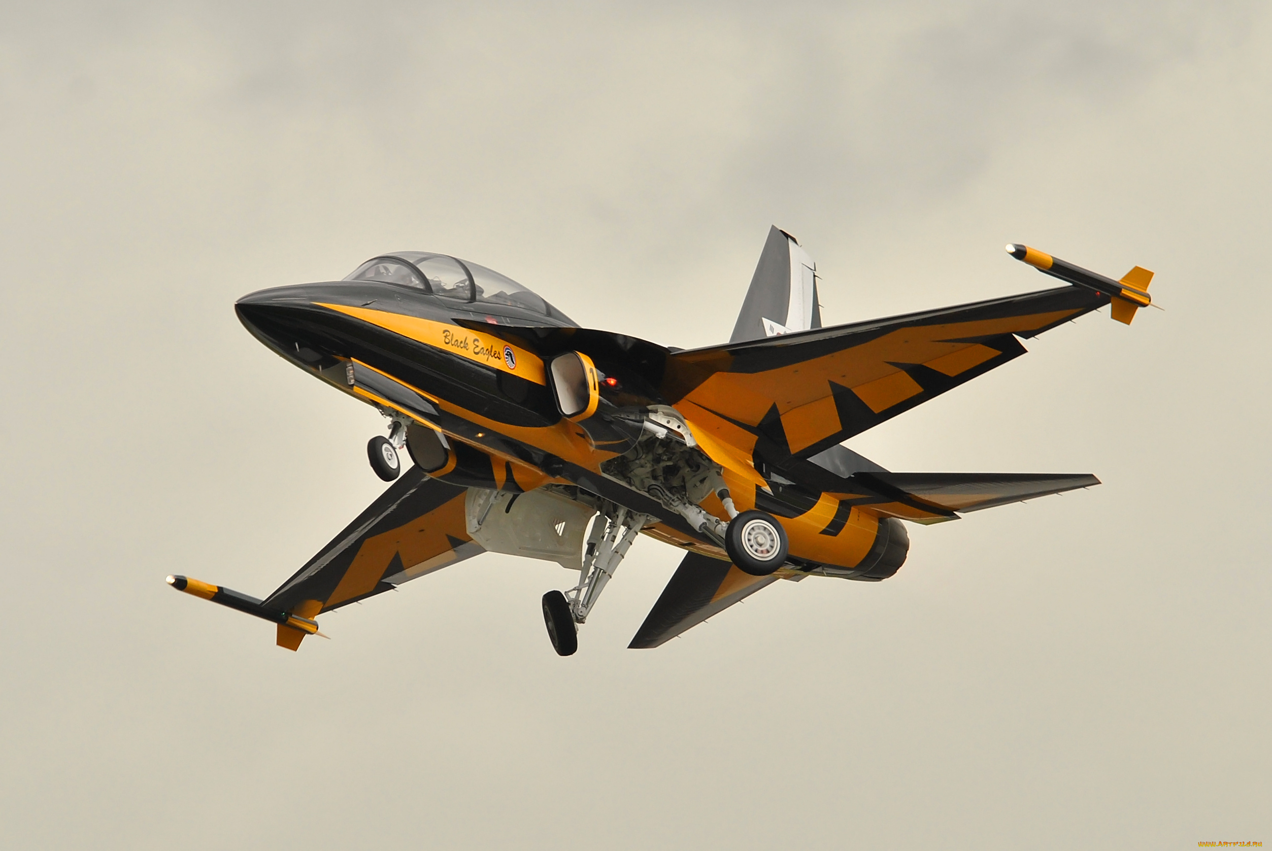 t50, trainer, farnborough, airshow, 2012, авиация, боевые, самолёты, истребитель, в, полете, учебно-тренировочный