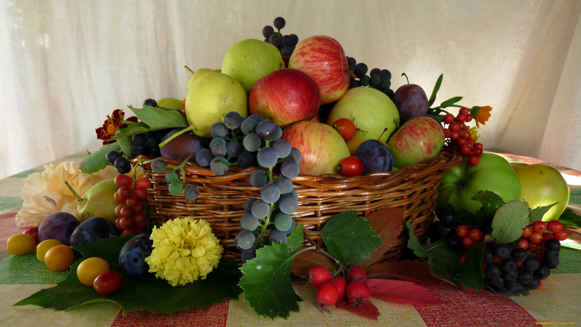 еда, фрукты, ягоды, груши, яблоки, виноград, сливы
