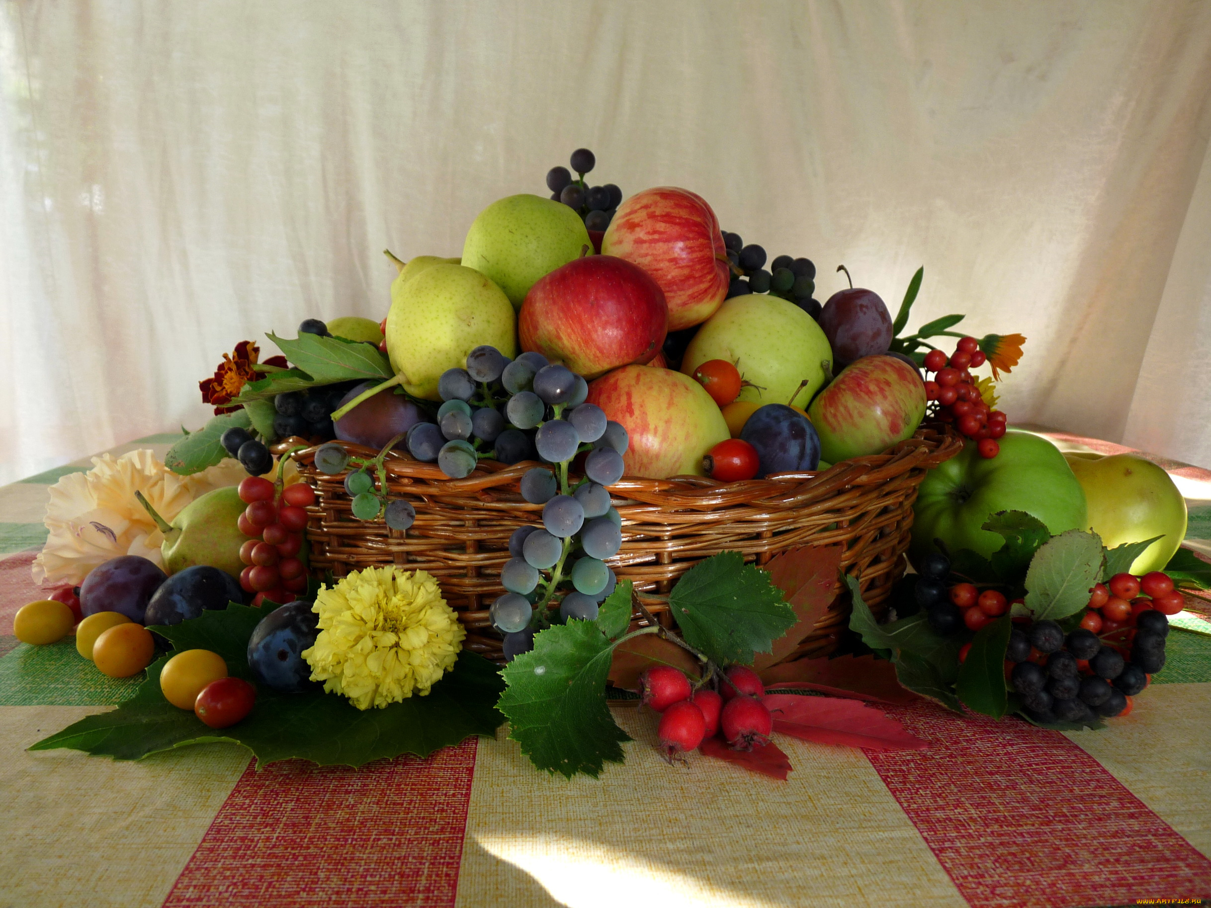 еда, фрукты, ягоды, груши, яблоки, виноград, сливы