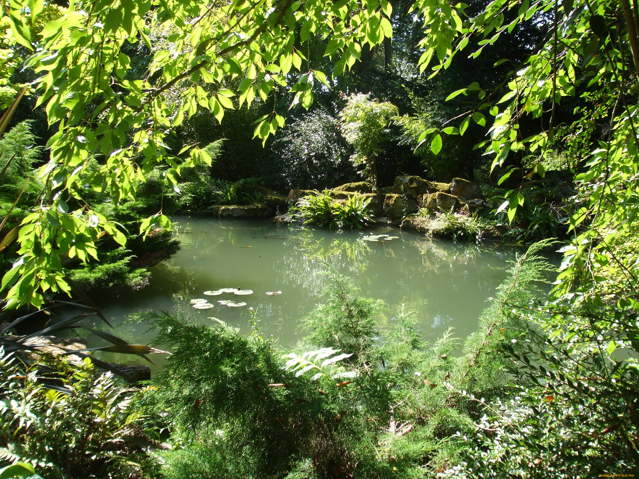 secret, garden, blenheim, palace, англия, природа, парк, растения, пруд