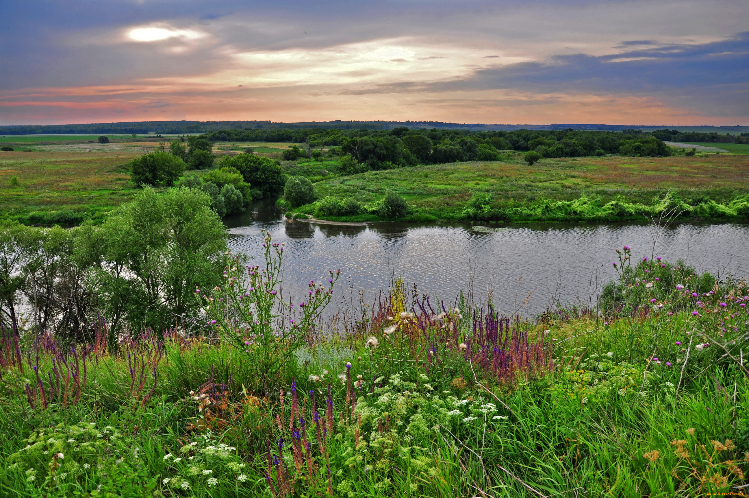 природа, реки, озера, трава, берега, река, луга, лес, равнина