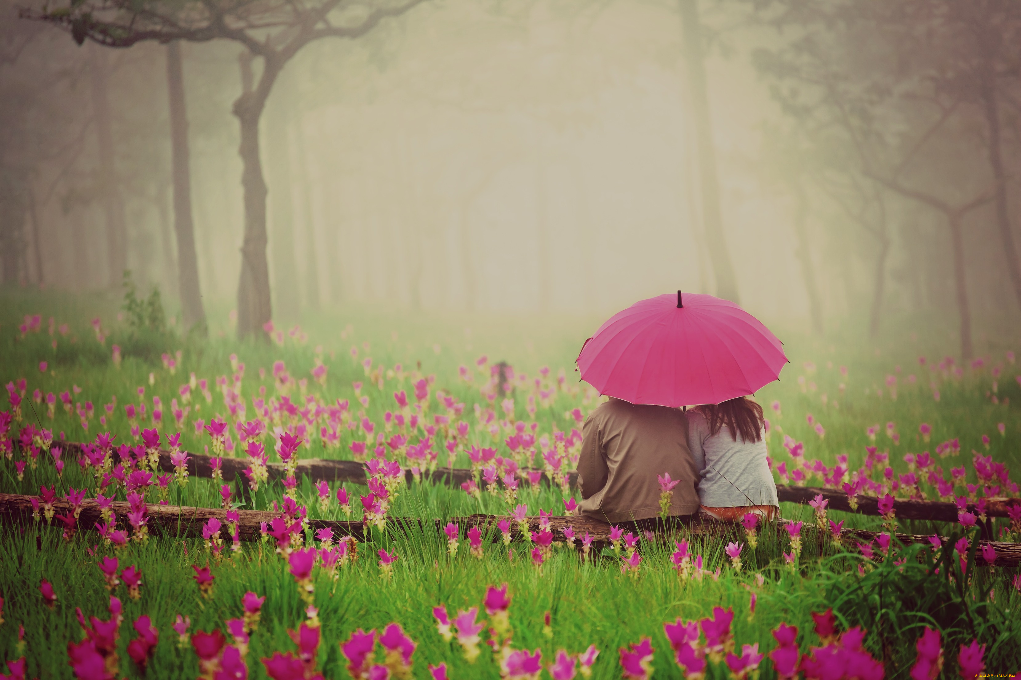 разное, мужчина, женщина, цветы, зонт