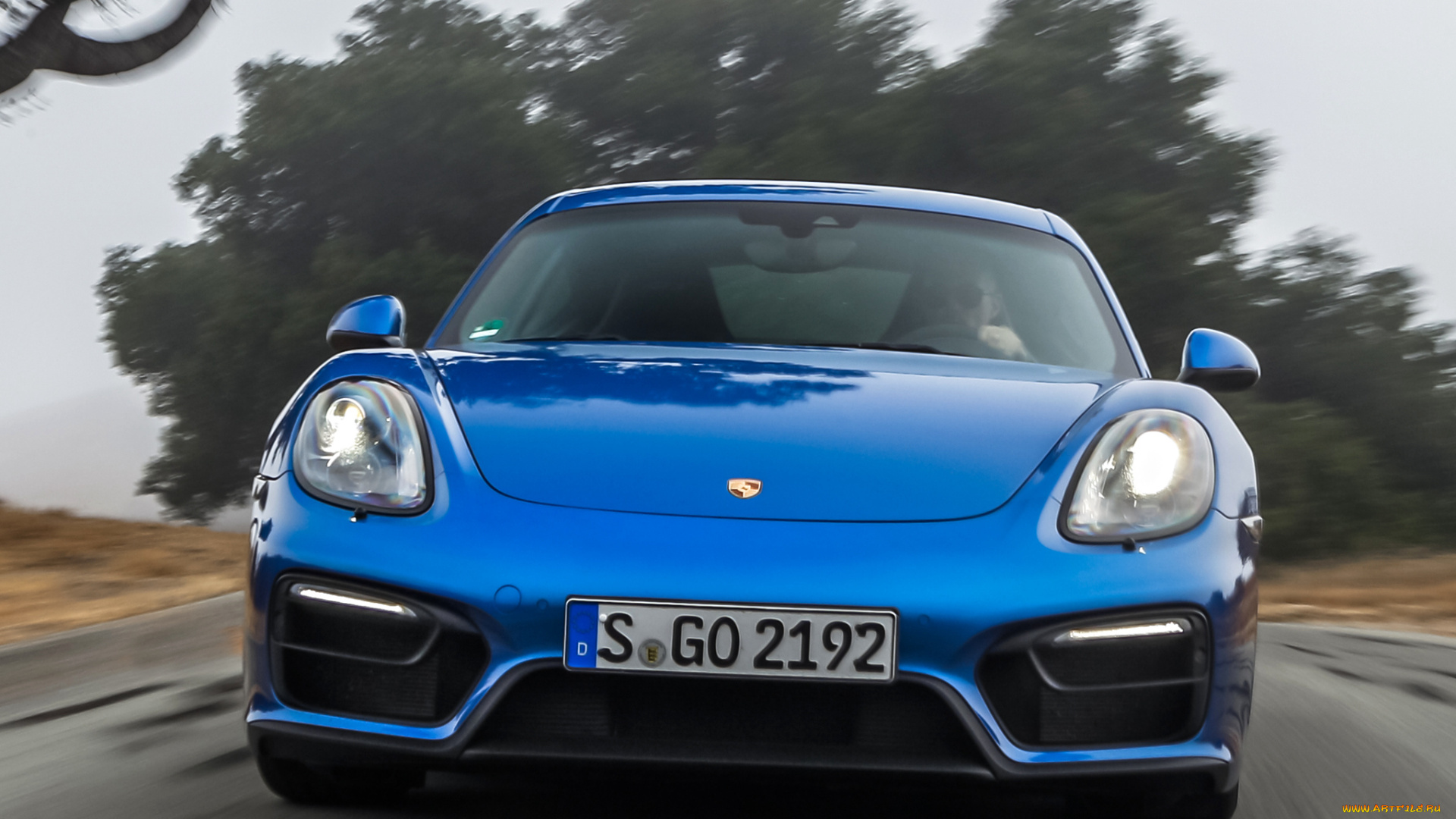 автомобили, porsche, cayman, синий, 2014г, 981c, gts