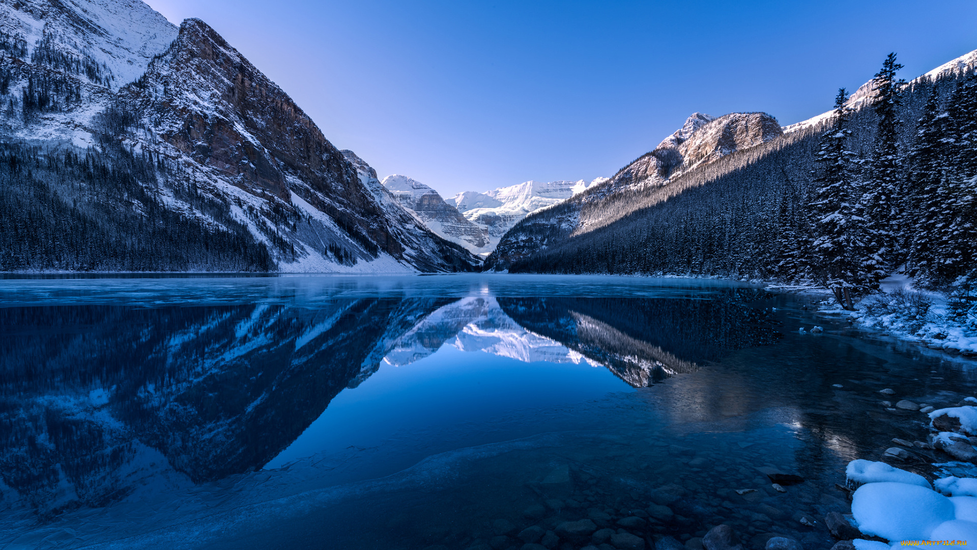 природа, реки, озера, forest, mountain, canada, alberta, lake, louise