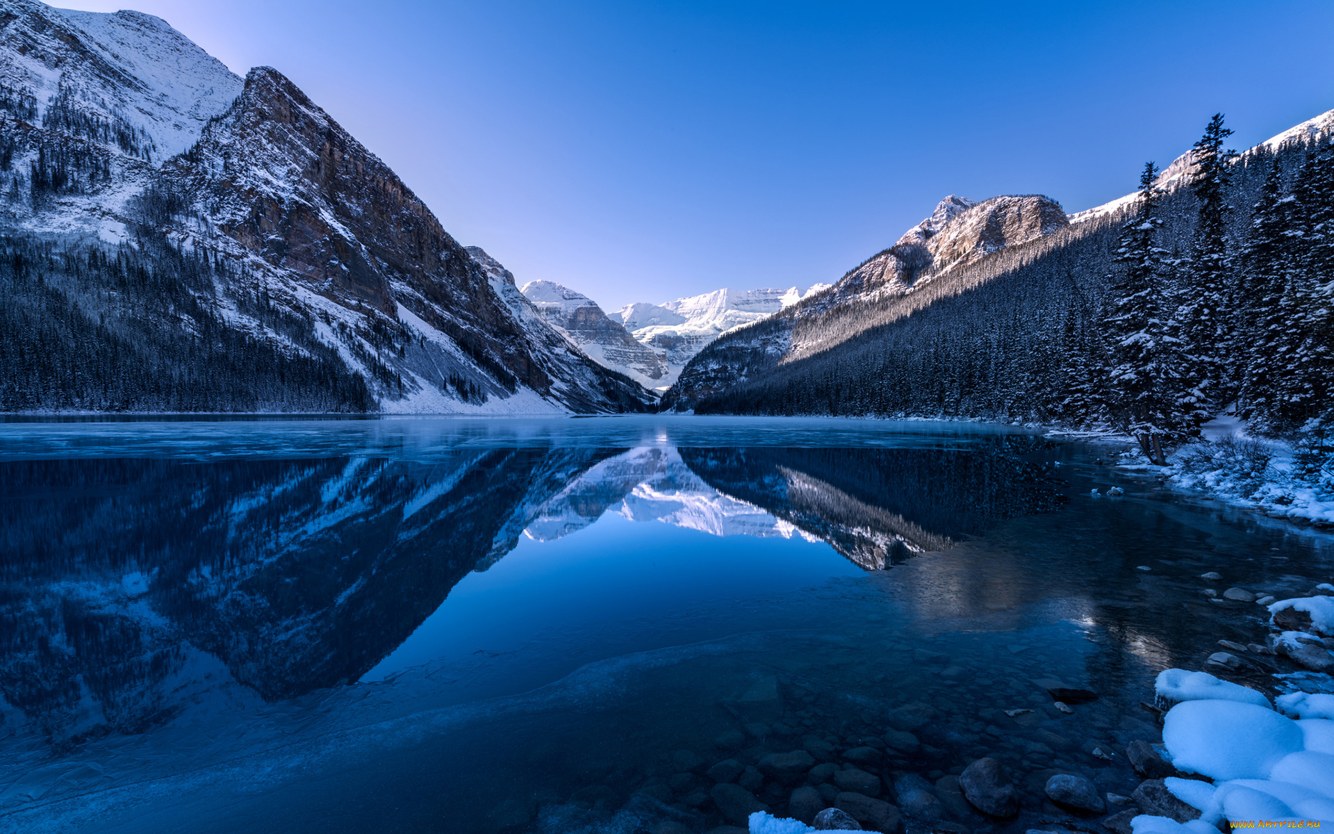 природа, реки, озера, forest, mountain, canada, alberta, lake, louise