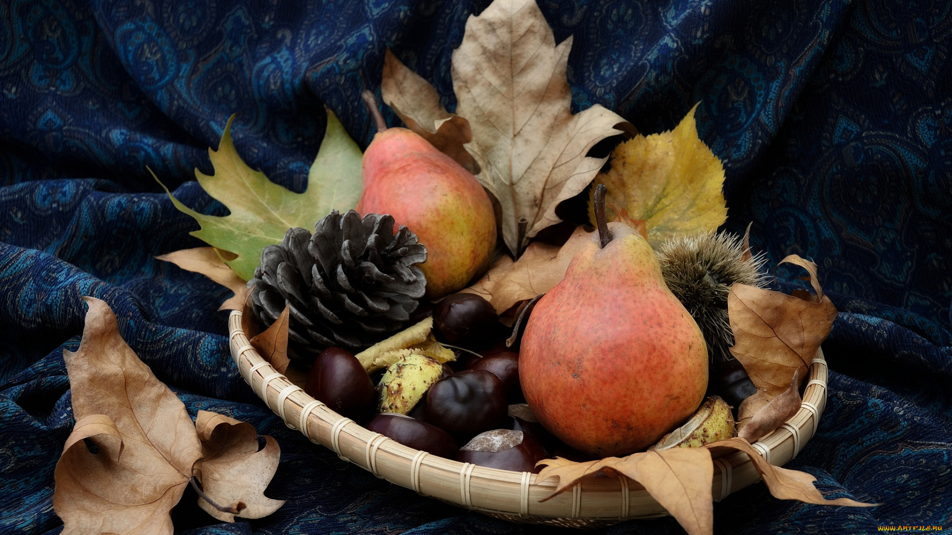 еда, груши, каштаны, шишки, осень, листья