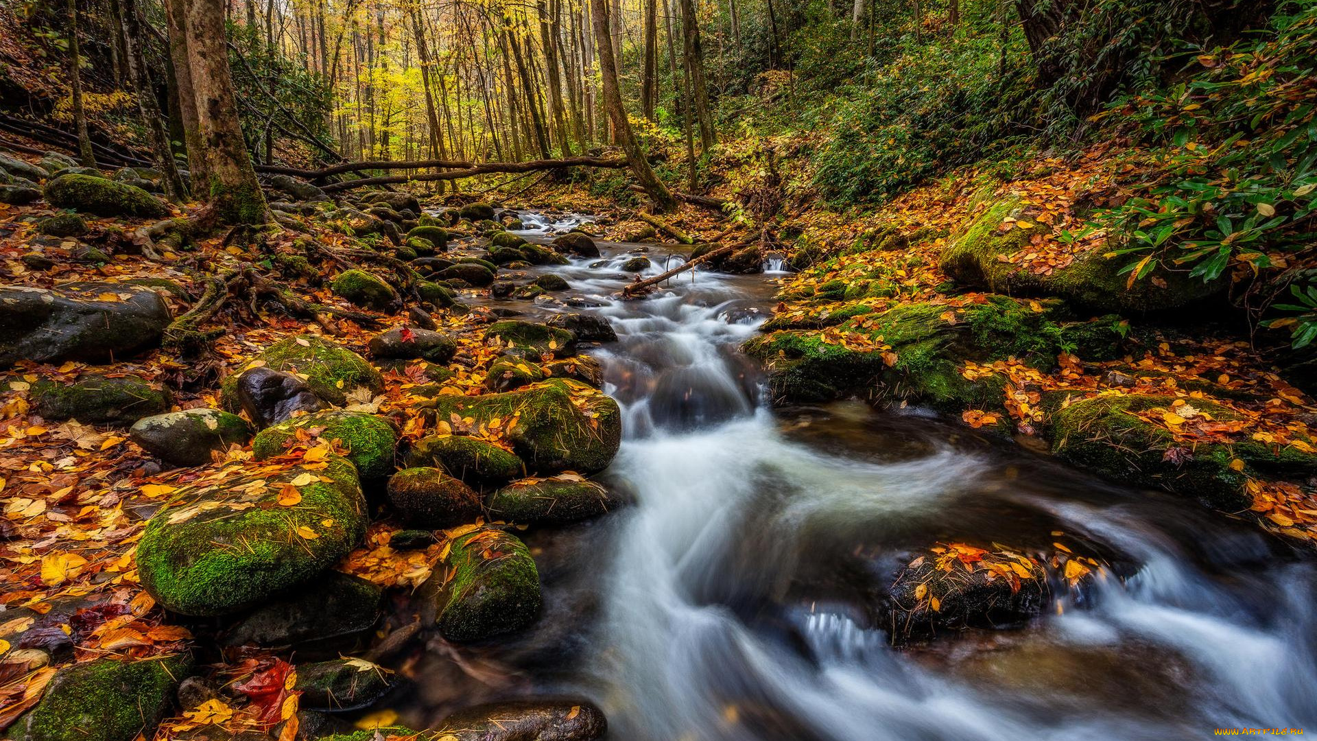 природа, реки, озера, водопад, осень, деревья, лес