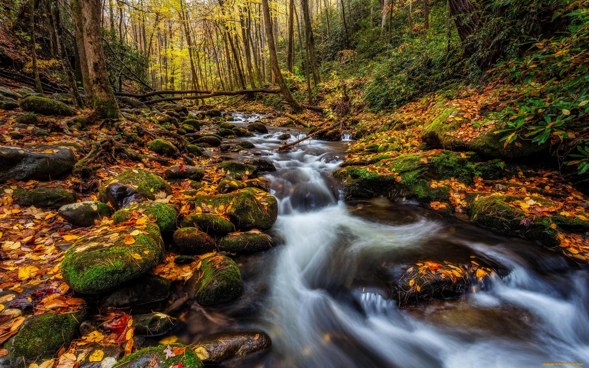 природа, реки, озера, водопад, осень, деревья, лес