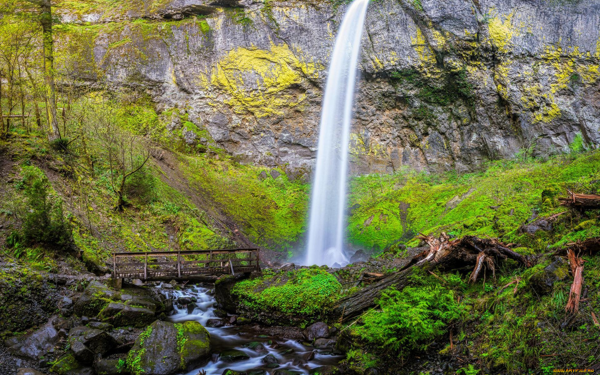 природа, водопады, скала, upper, oneonta, waterfalls, водопад, columbia, river, gorge