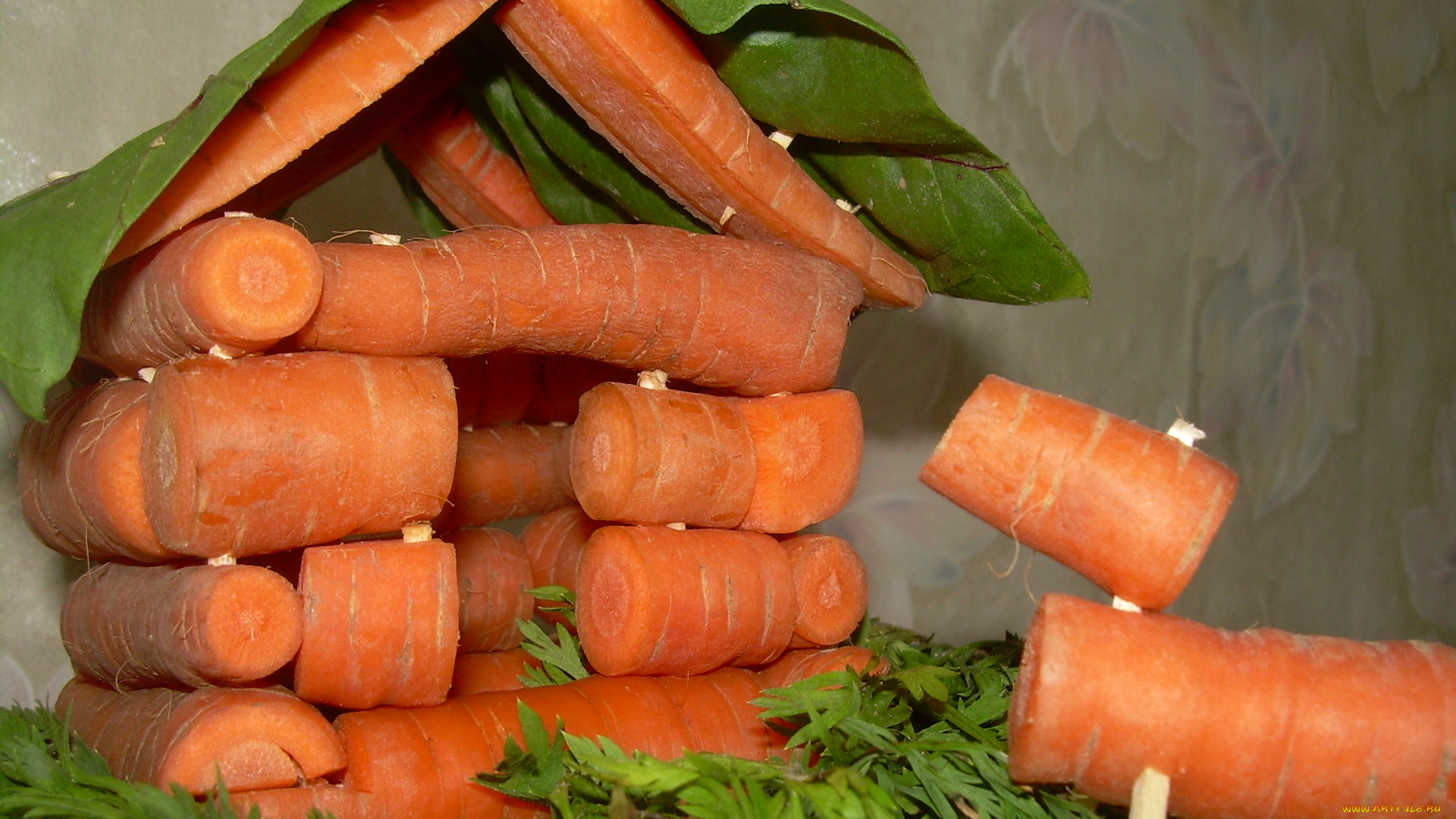 еда, морковь, морковка, домик