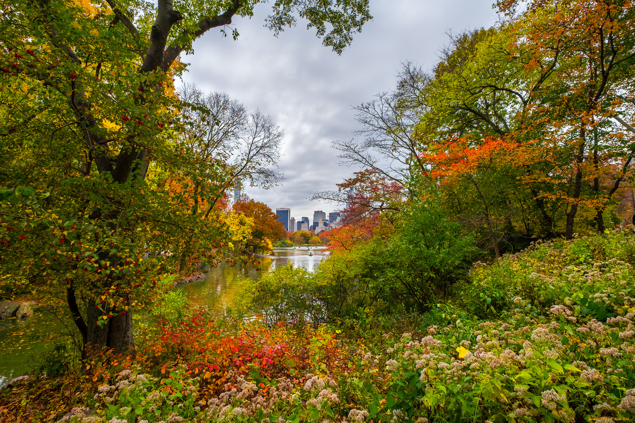 autumn, in, ny, города, -, пейзажи, простор