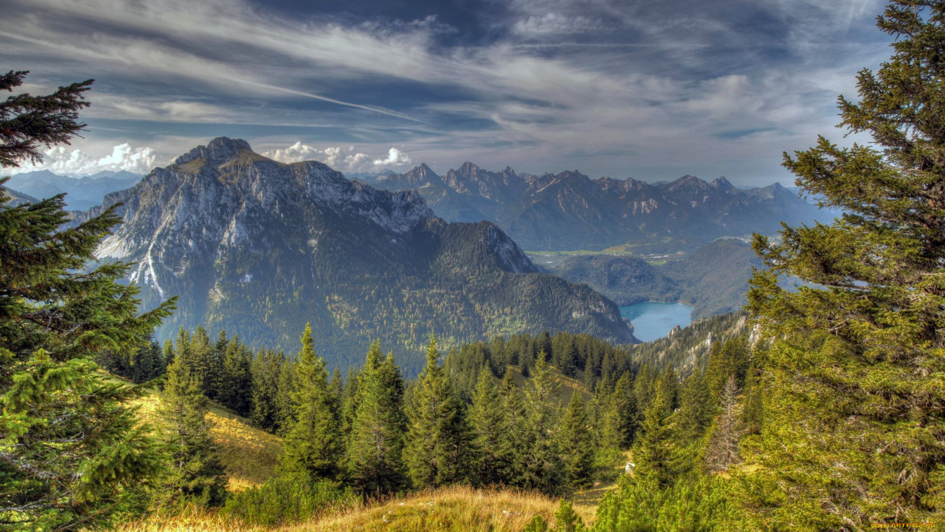 баварские, альпы, природа, пейзажи, озеро, деревья, ели, лес