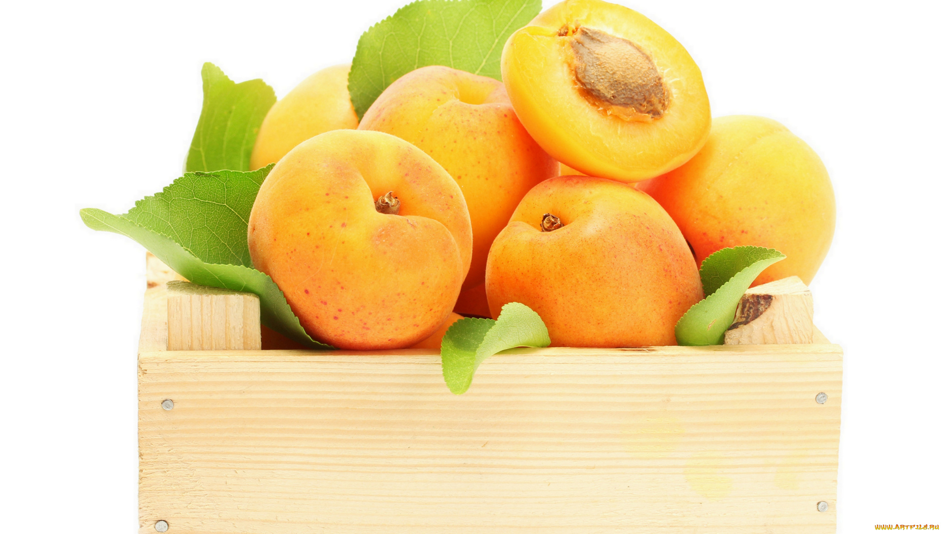еда, персики, сливы, абрикосы, фрукты