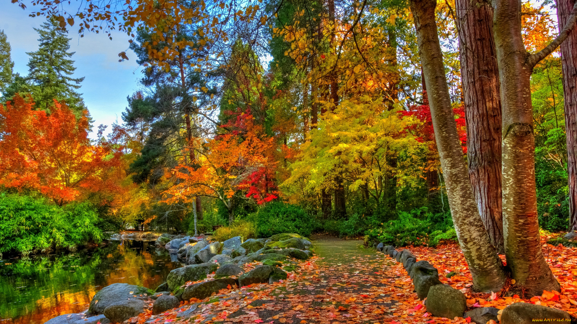 природа, дороги, trees, autumn, forest, nature, осен, landscape, river, деревья, лес, view, scenery, пейзаж