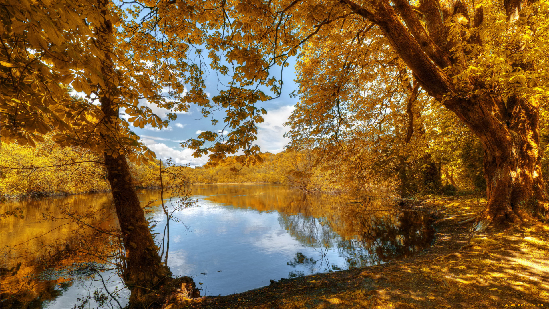 природа, реки, озера, деревья, река, осень, листья, трава