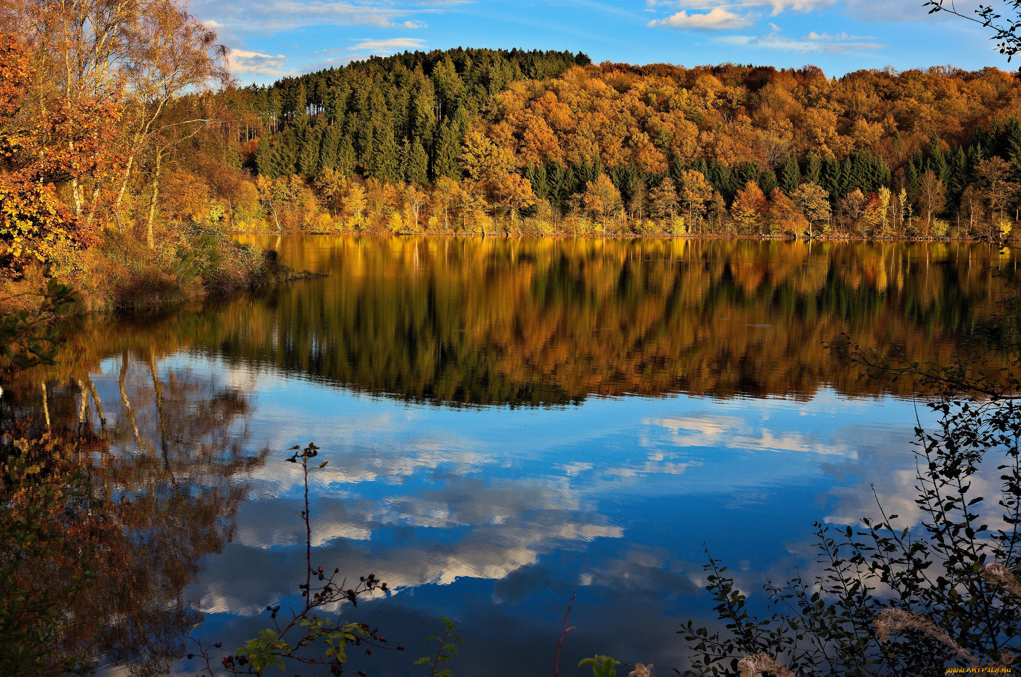 природа, реки, озера, лес, река, осень