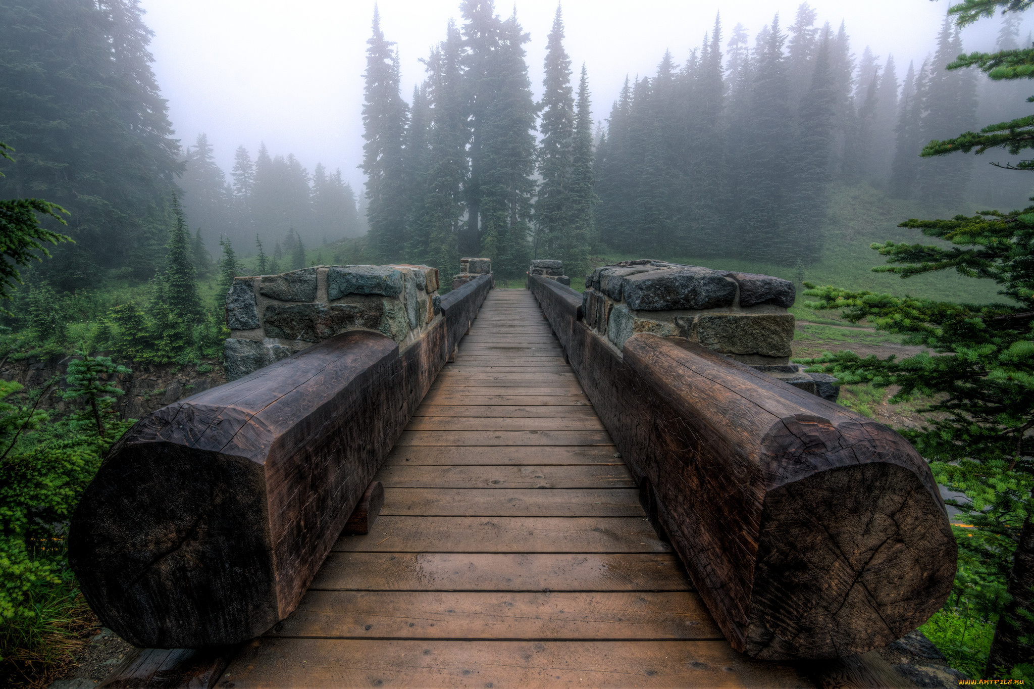природа, дороги, лес, туман, мост