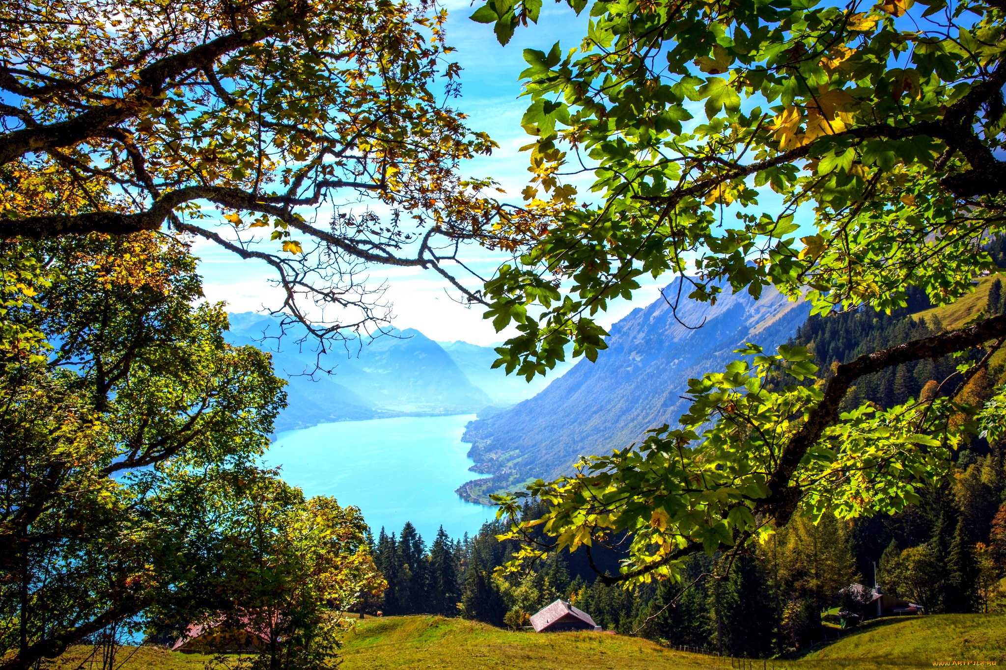 бриенцское, озеро, , швейцария, природа, реки, озера, швейцария, озеро, горы, деревья
