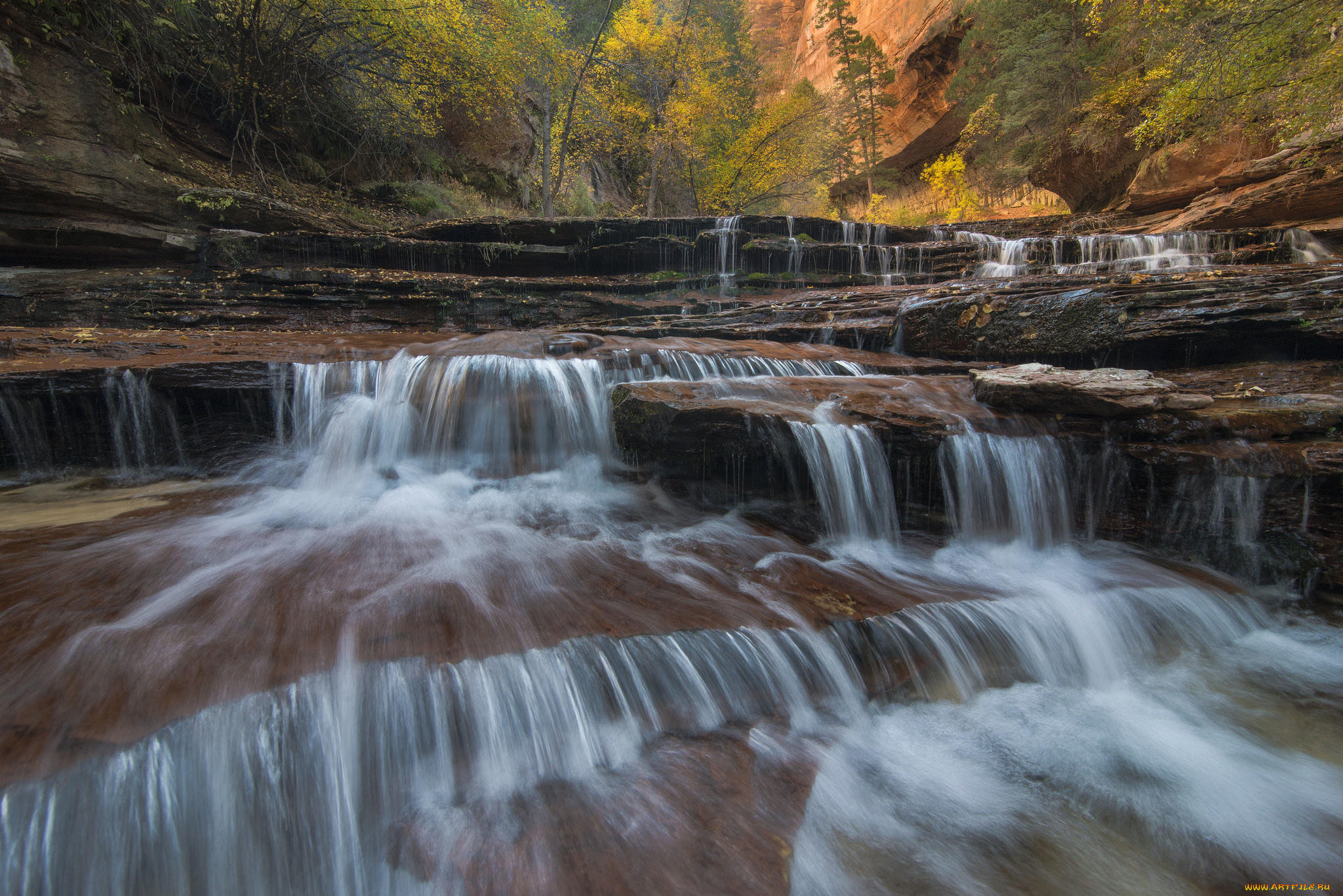 природа, водопады, лес, река, водопад