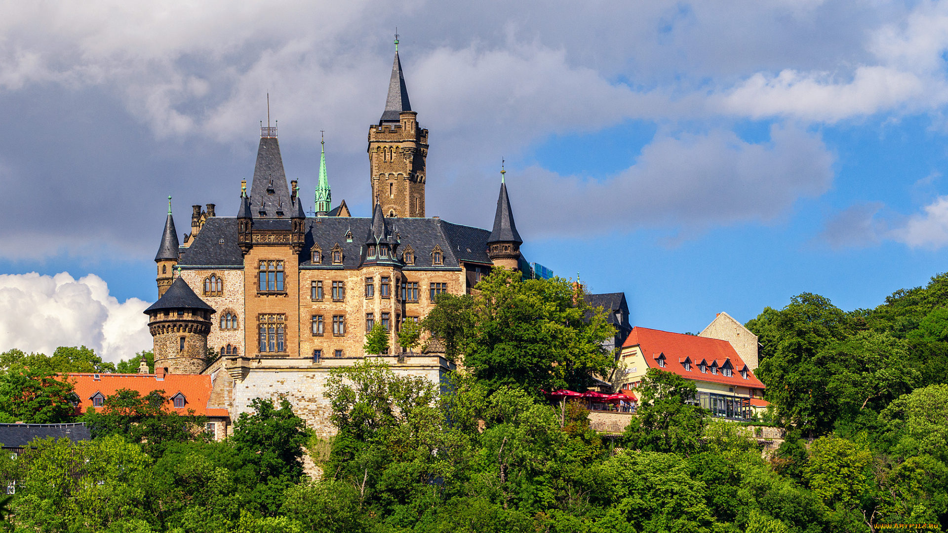 kasteel, wernigerode, города, замки, германии, лес, холм, замок