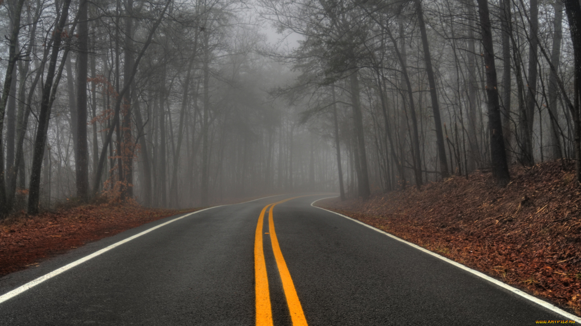 природа, дороги, лес, осень, туман, шоссе