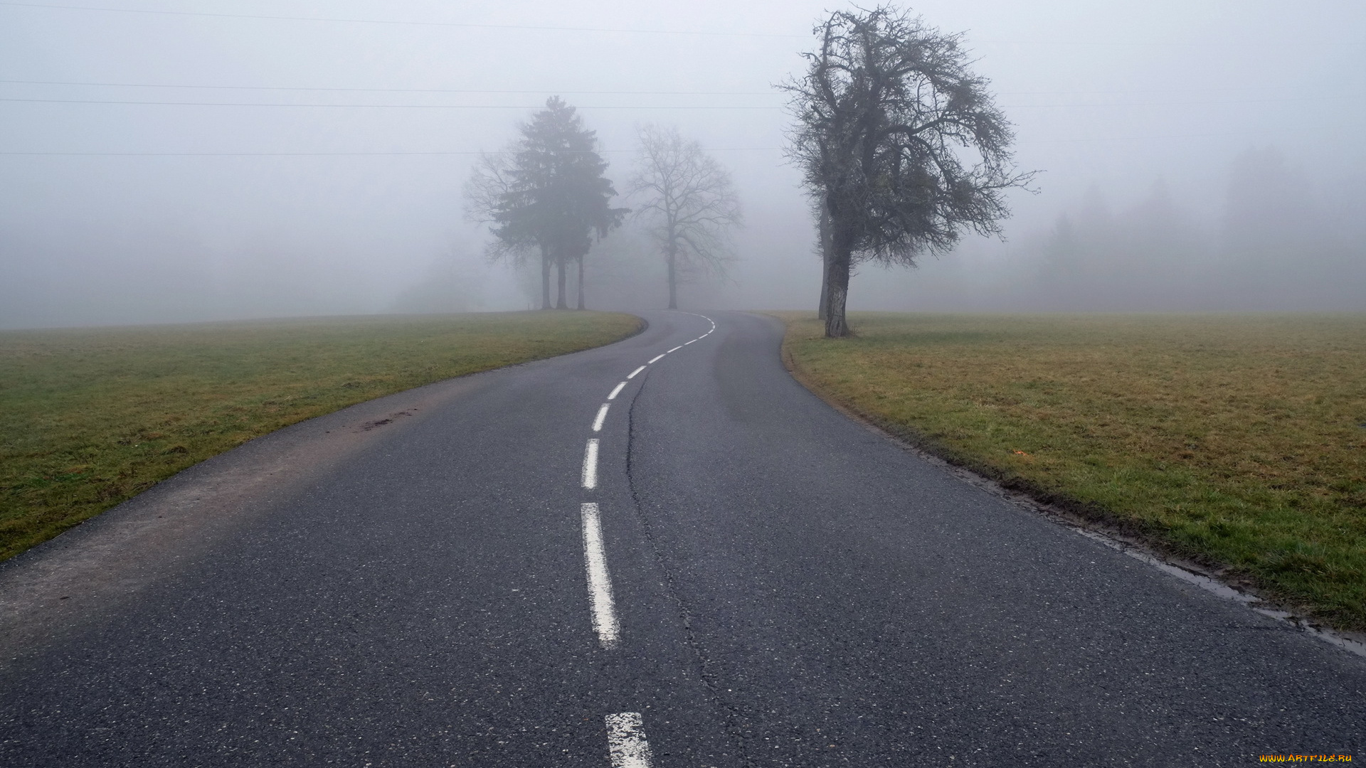 природа, дороги, туман, дорога
