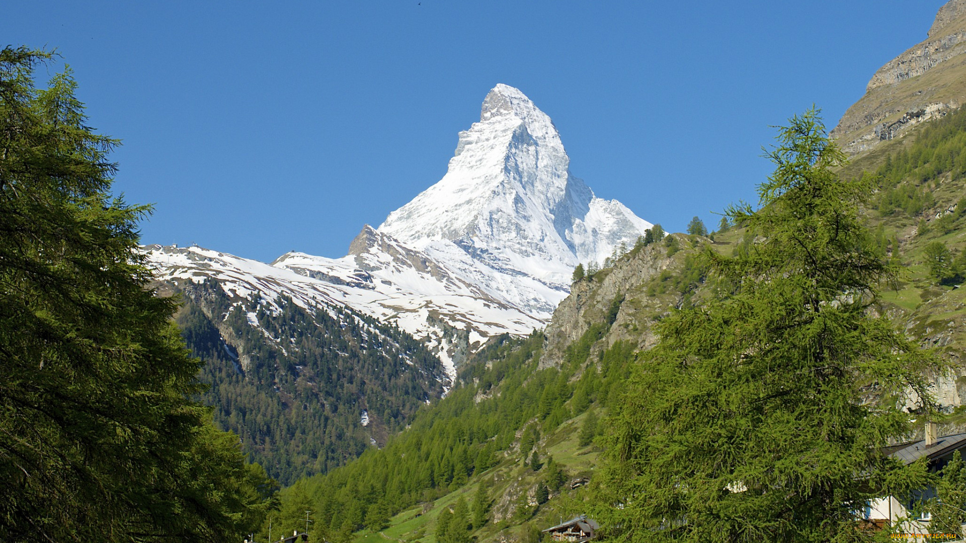 природа, горы, склон, снег, деревья, гора, маттерхорн, альпы, швейцария