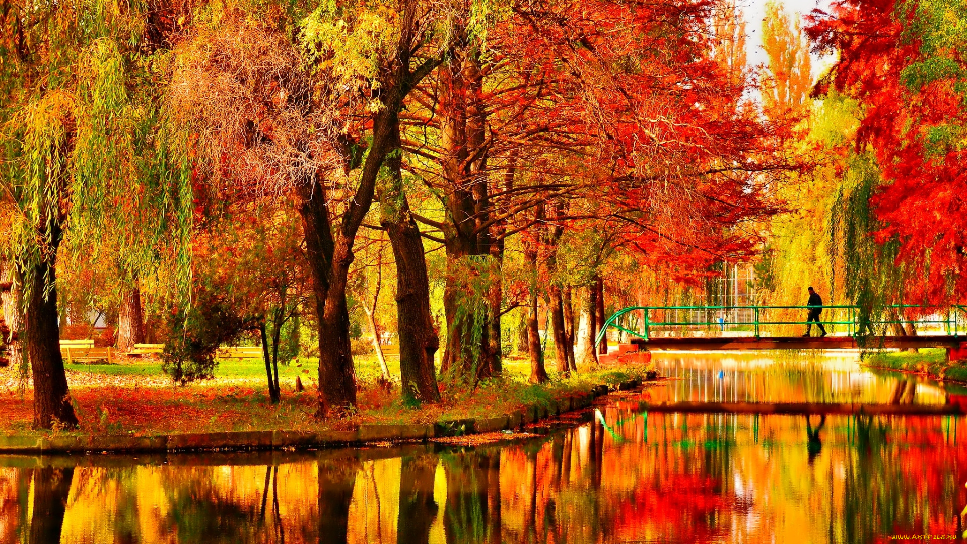 природа, парк, деревья, осень, мост, пруд