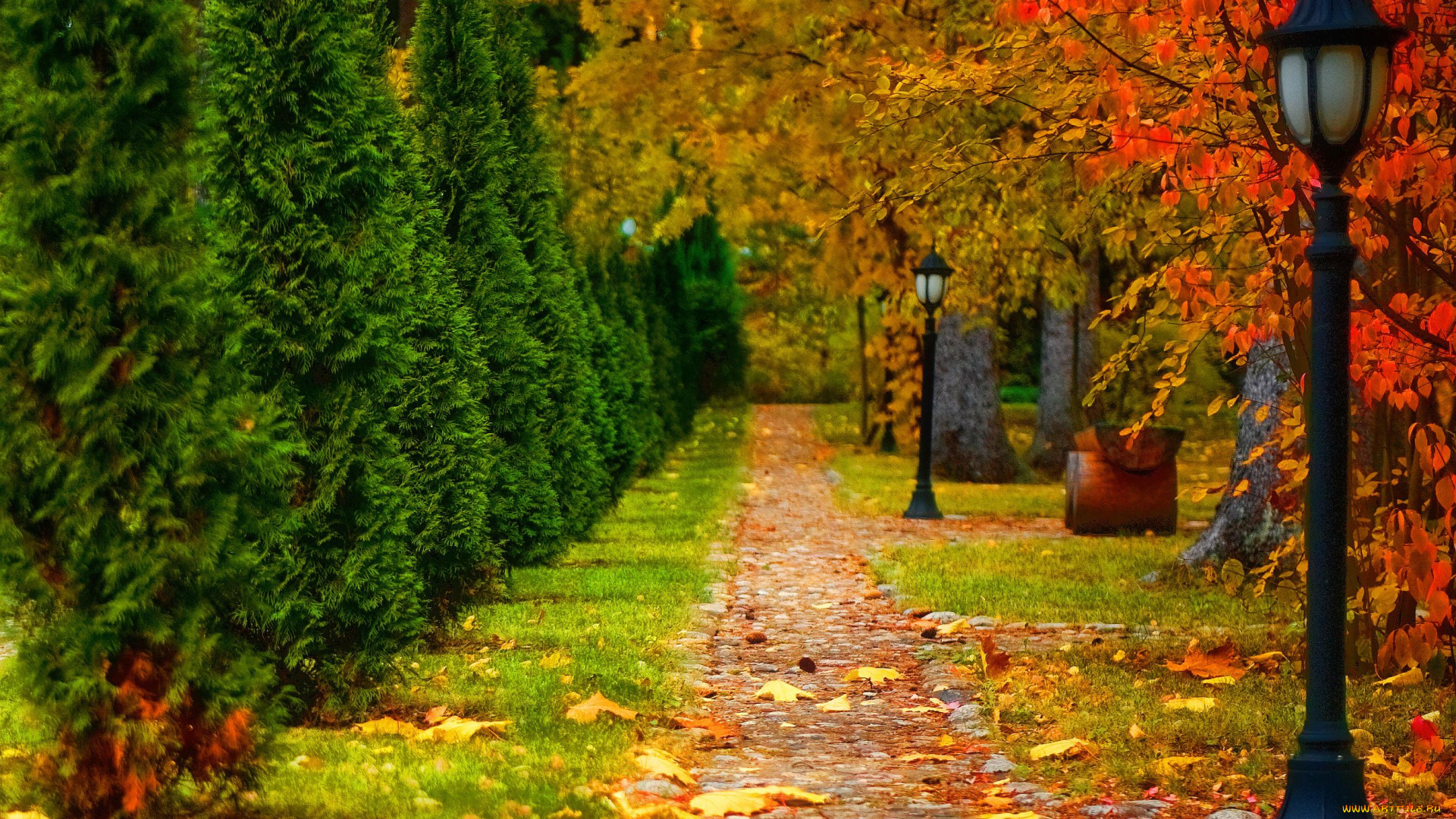 природа, парк, кусты, осень, листья, деревья, фонари, дорожки