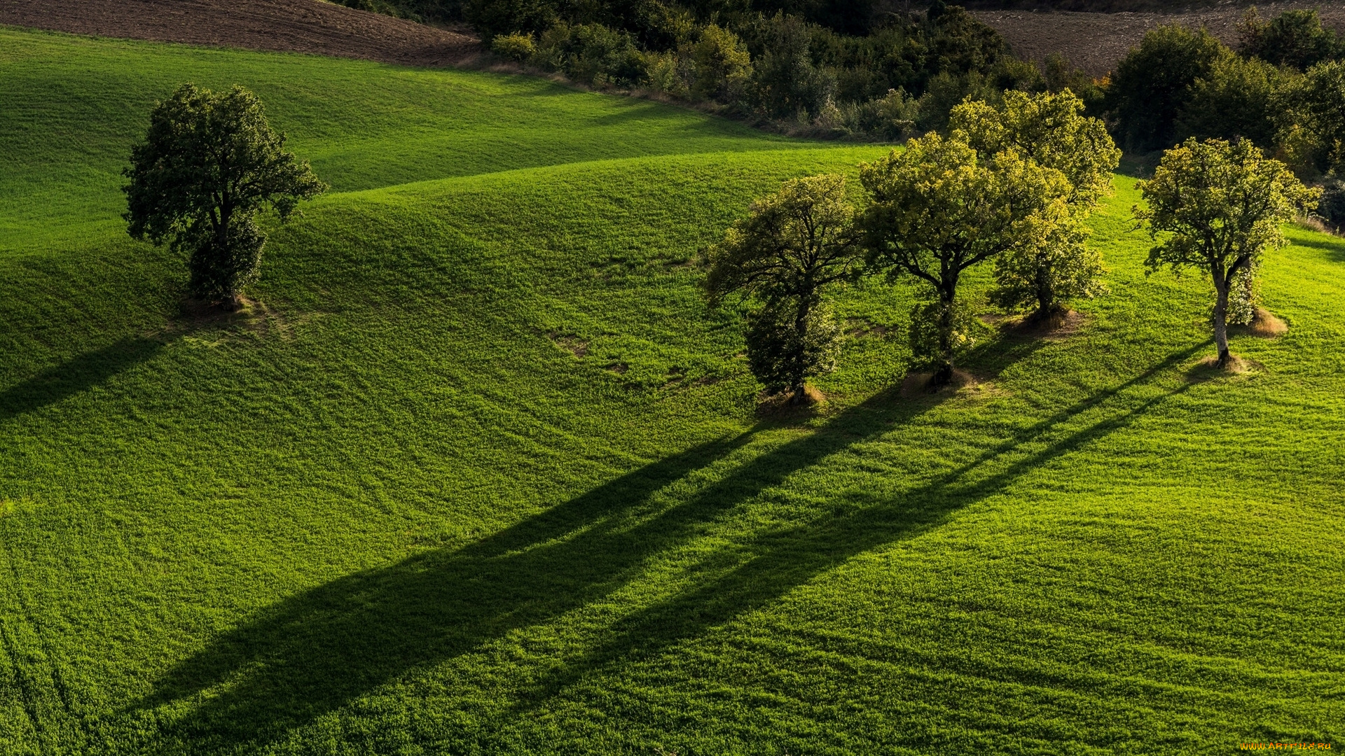 природа, пейзажи, национальный, парк, монти-сибиллини, пьевебовильяна, italy, monti, sibillini, national, park, pievebovigliana, marche, деревья, поля, италия, марке