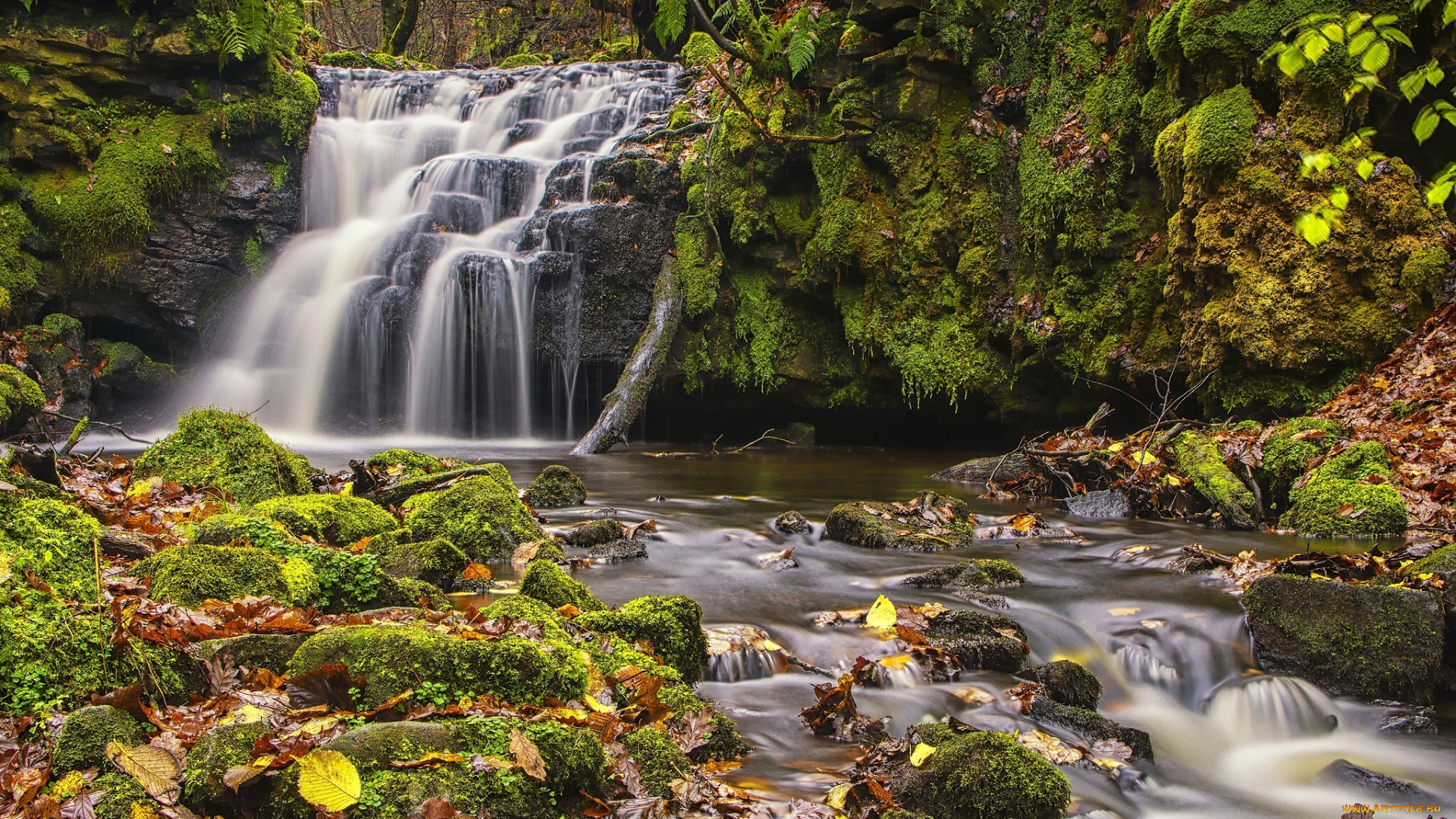 природа, водопады, england, west, yorkshire, todmorden, gorpley, clough, falls, осень, водопад, англия, западный, йоркшир, тодморден, листья, мох, каскад