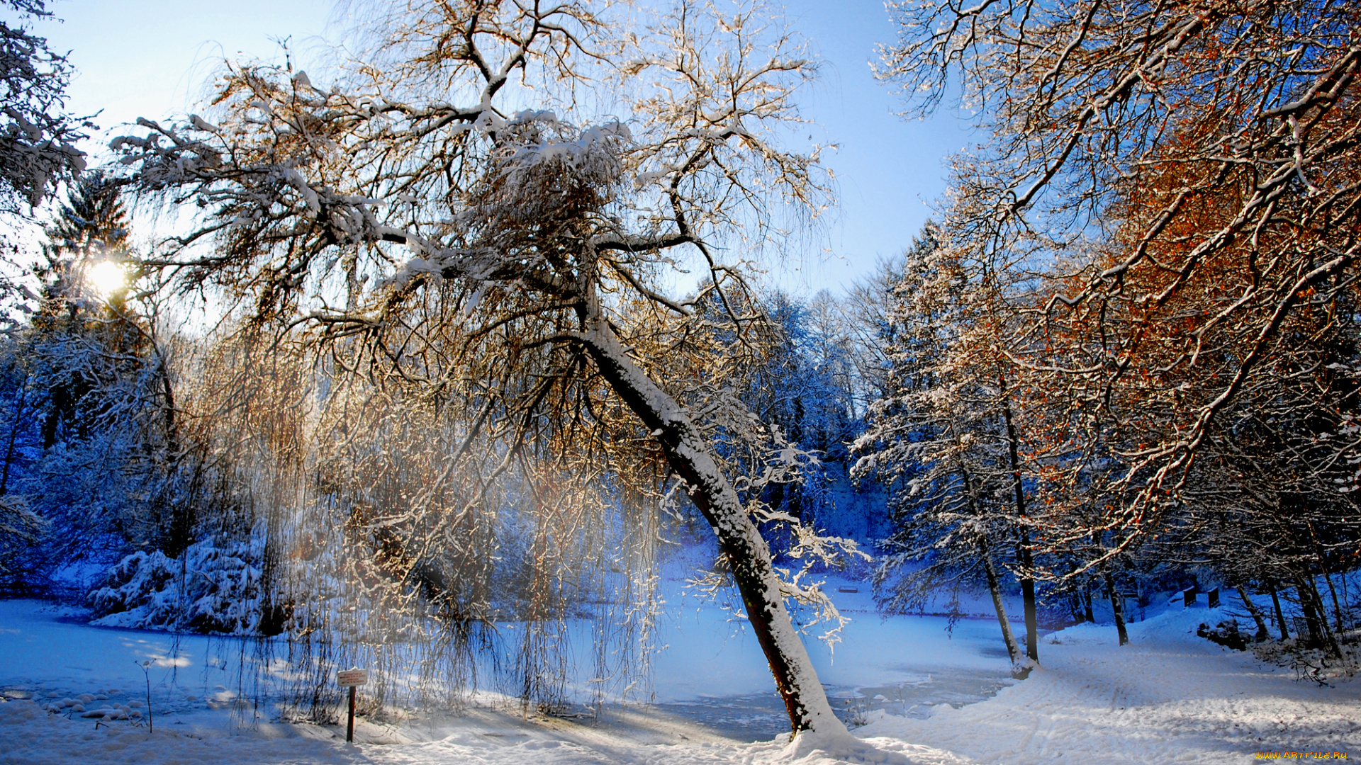 природа, зима, ручей, снег, деревья, лес