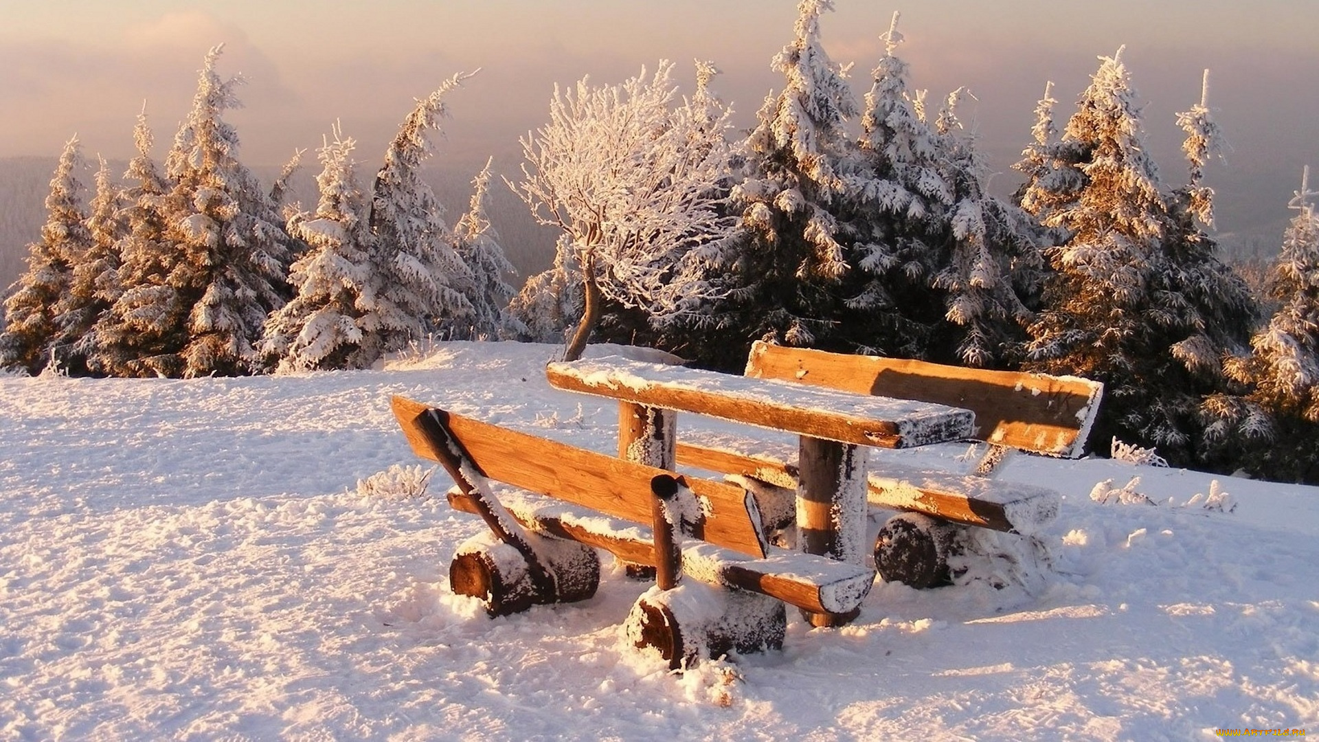 природа, зима, снег, деревья, туман, склон, площадка, скамейки, стол