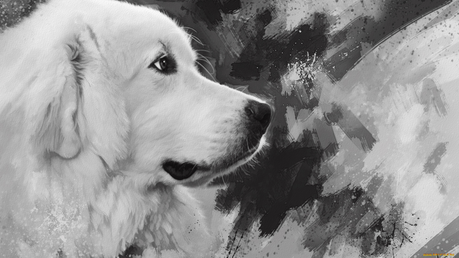 рисованное, животные, , собаки, белая, собака, рисунок, мазки, черно-белое, морда, нарисованная, графика, картина, живопись