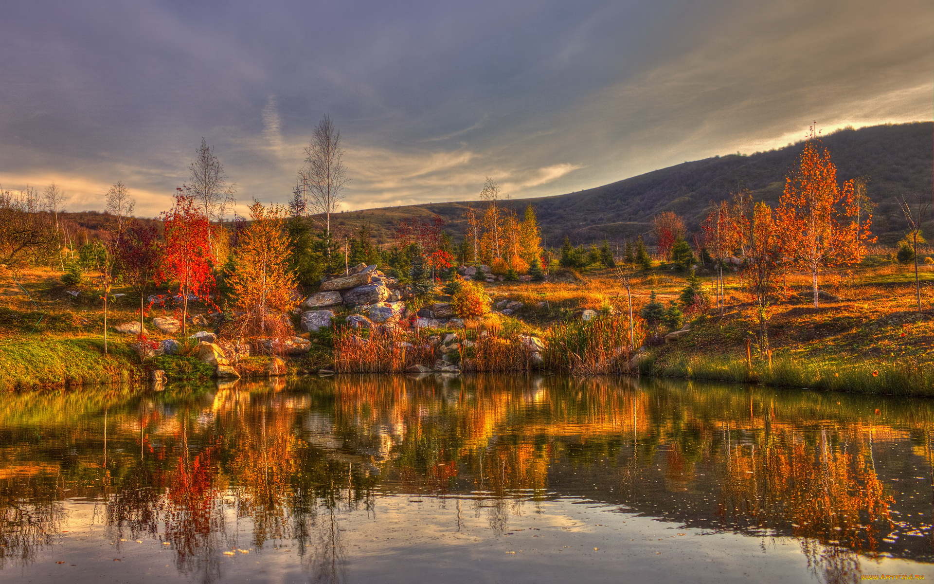 природа, пейзажи, осень, деревья, озеро