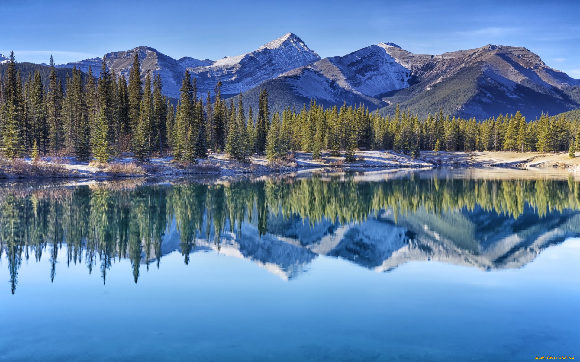 природа, реки, озера, canadian, rockies, canada, kananaskis, country, forgetmenot, pond, alberta, альберта, кананаскис, канадские, скалистые, горы, канада, озеро, деревья, отражение