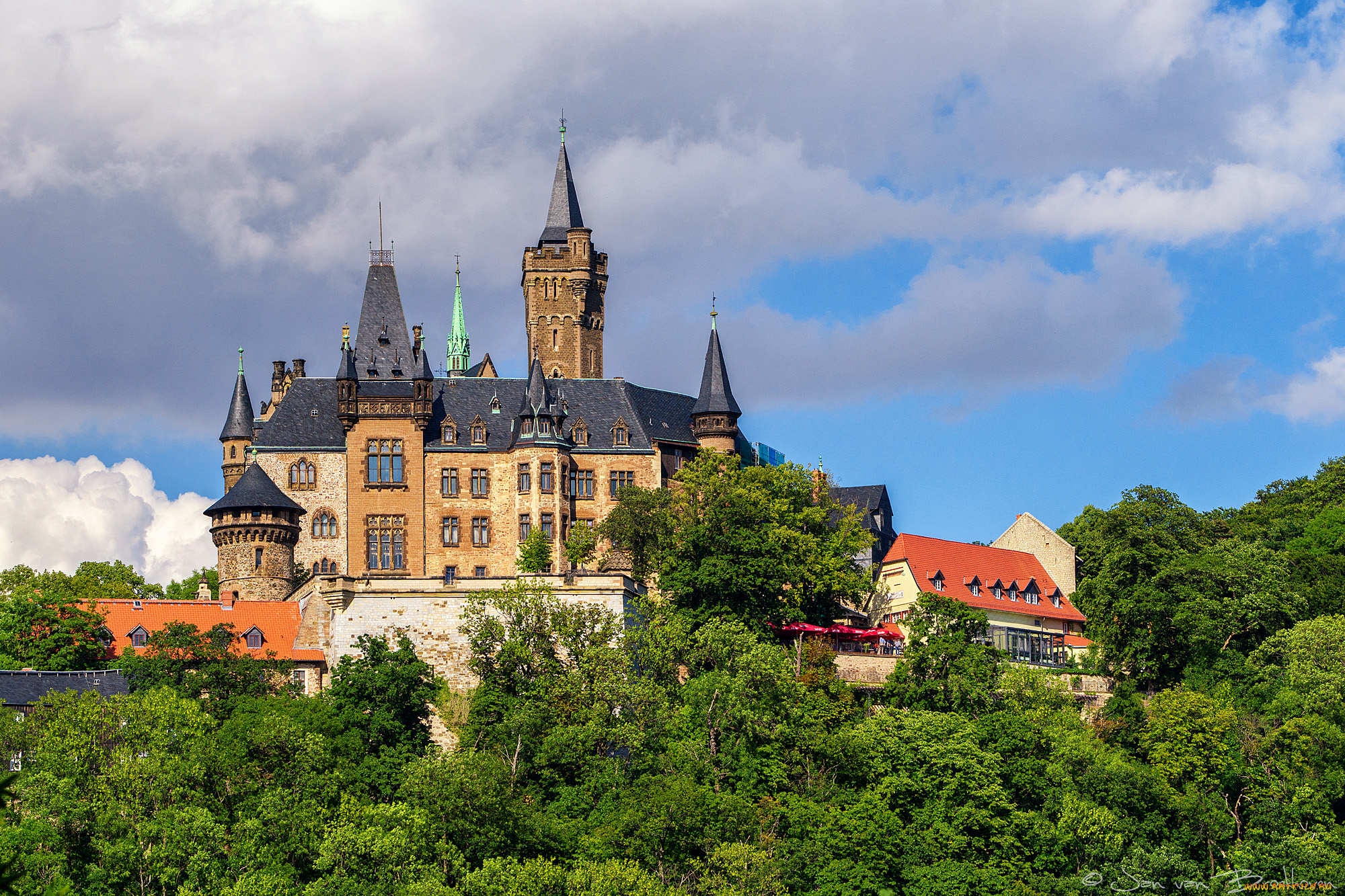 kasteel, wernigerode, города, замки, германии, лес, холм, замок