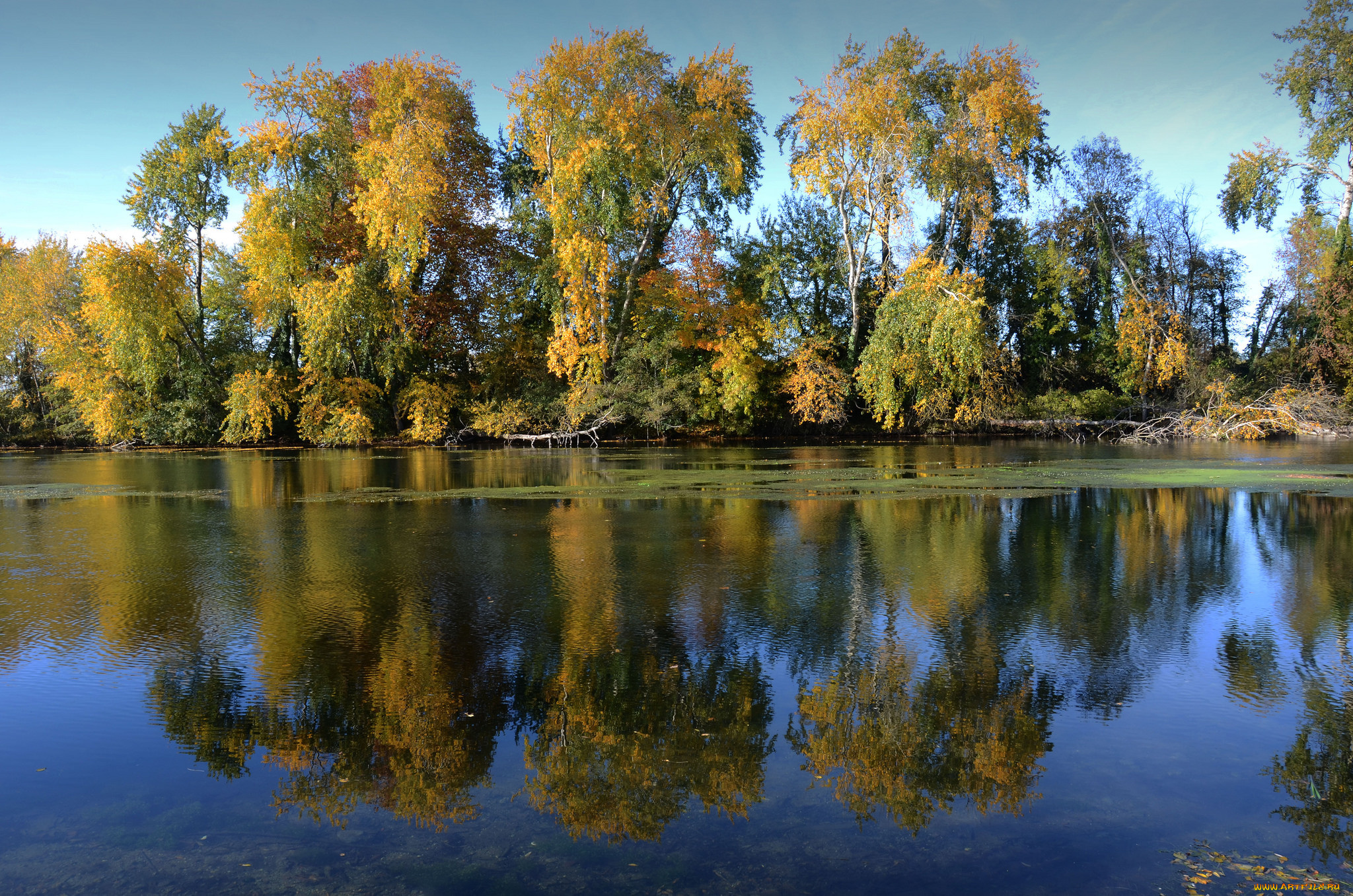 природа, реки, озера, лес, река