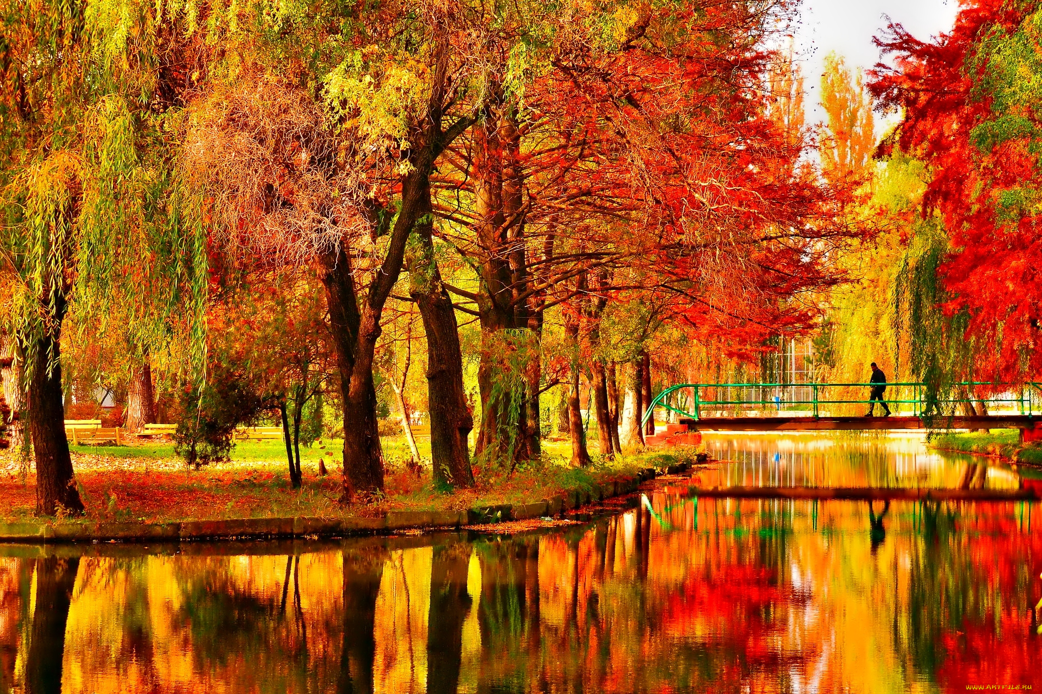 природа, парк, деревья, осень, мост, пруд