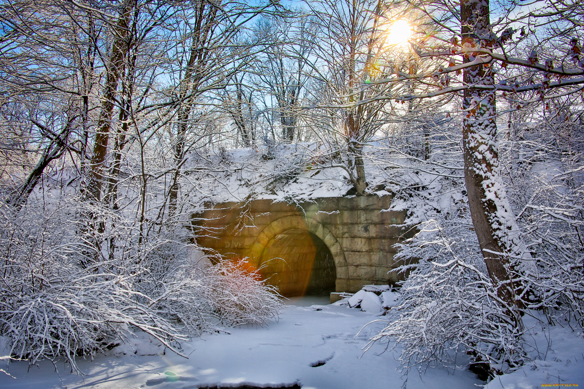 природа, зима, мост, свет, снег, лес