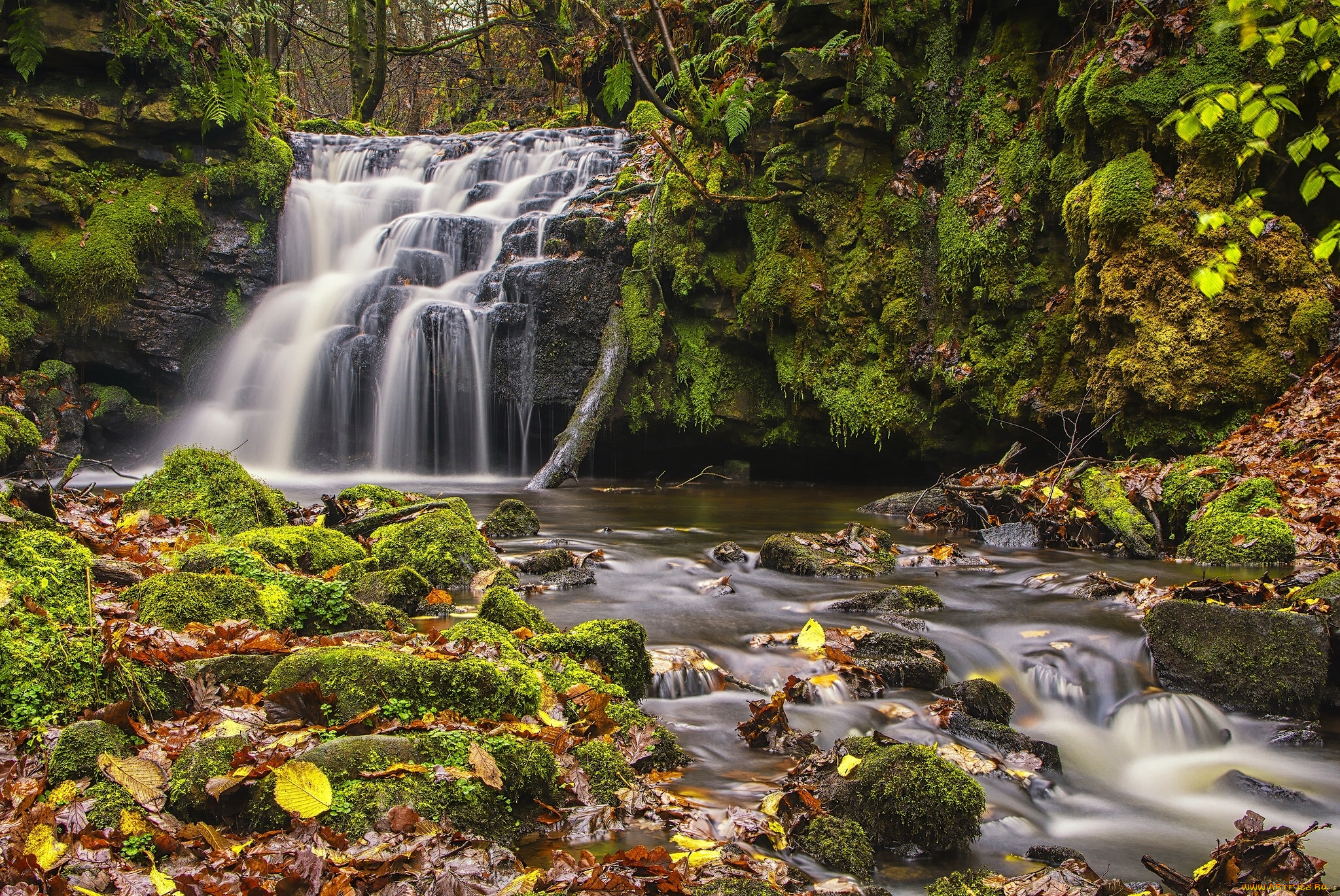 природа, водопады, england, west, yorkshire, todmorden, gorpley, clough, falls, осень, водопад, англия, западный, йоркшир, тодморден, листья, мох, каскад