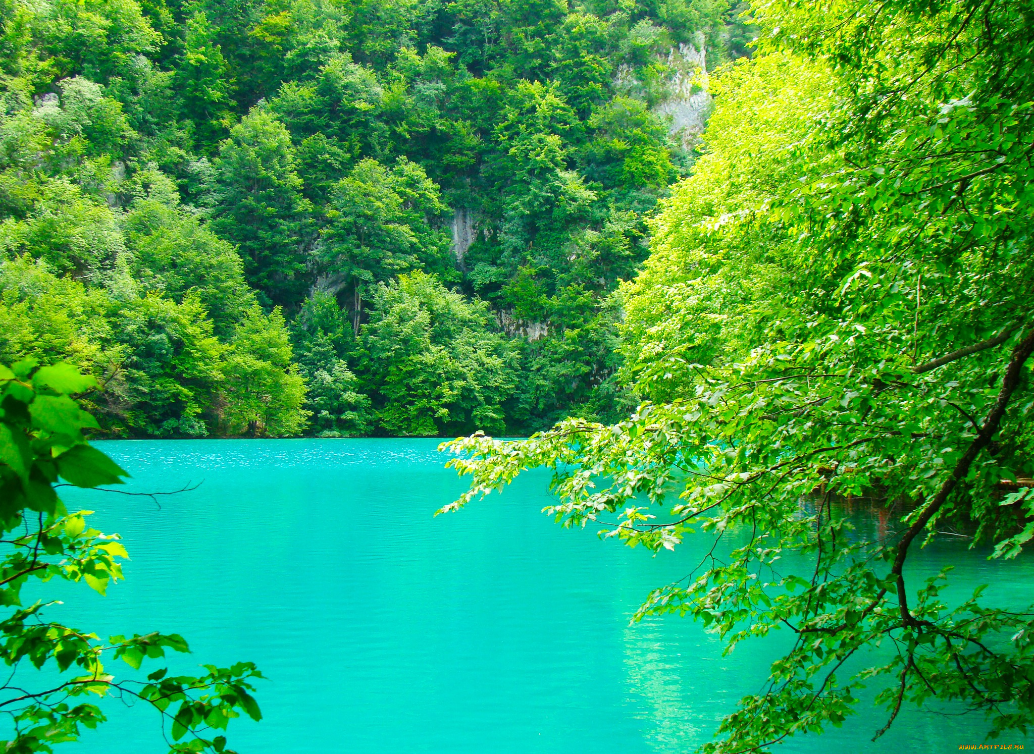 природа, реки, озера, плитвицкие, озёра, хорватия, озеро, водоём, вода, сине-зеленая, зелень, деревья, ветки, листья, скалы, лето