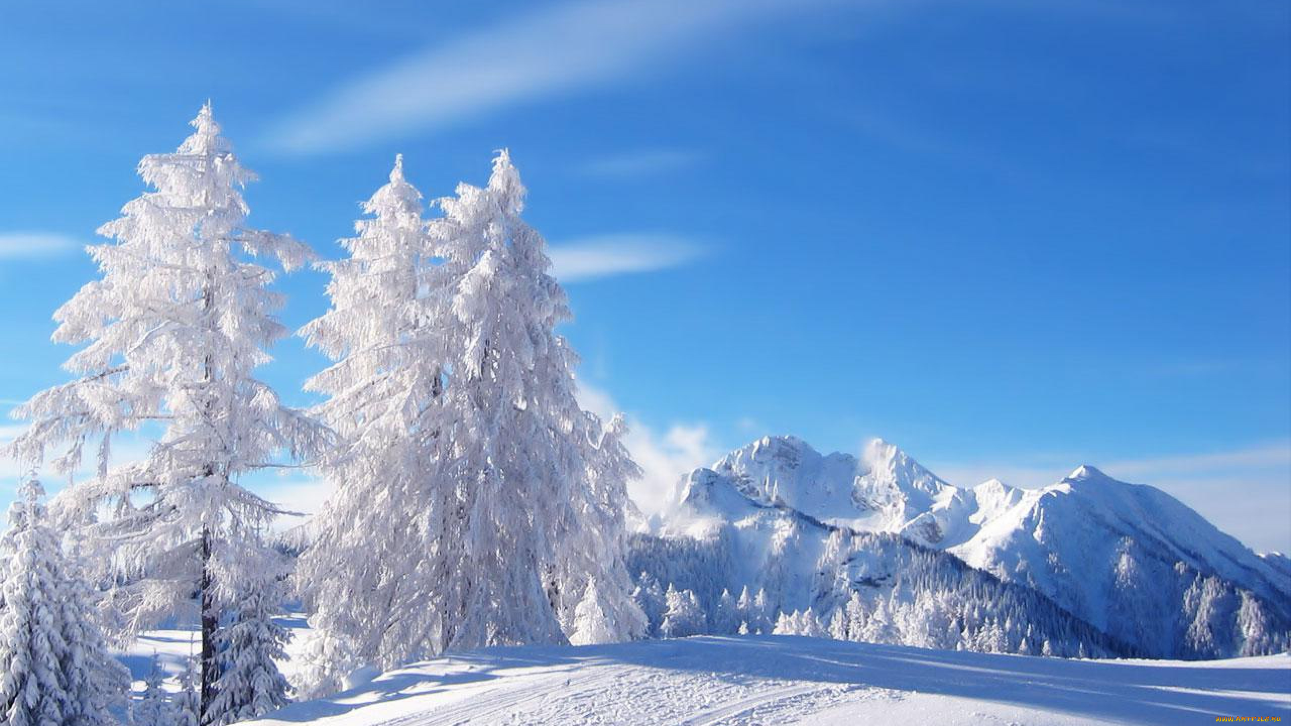 природа, зима, горы, деревья, снег