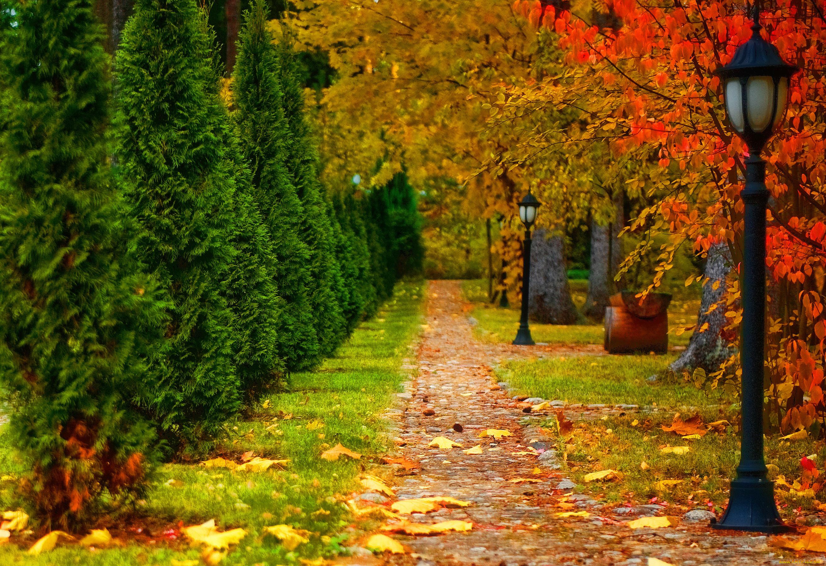 природа, парк, кусты, осень, листья, деревья, фонари, дорожки