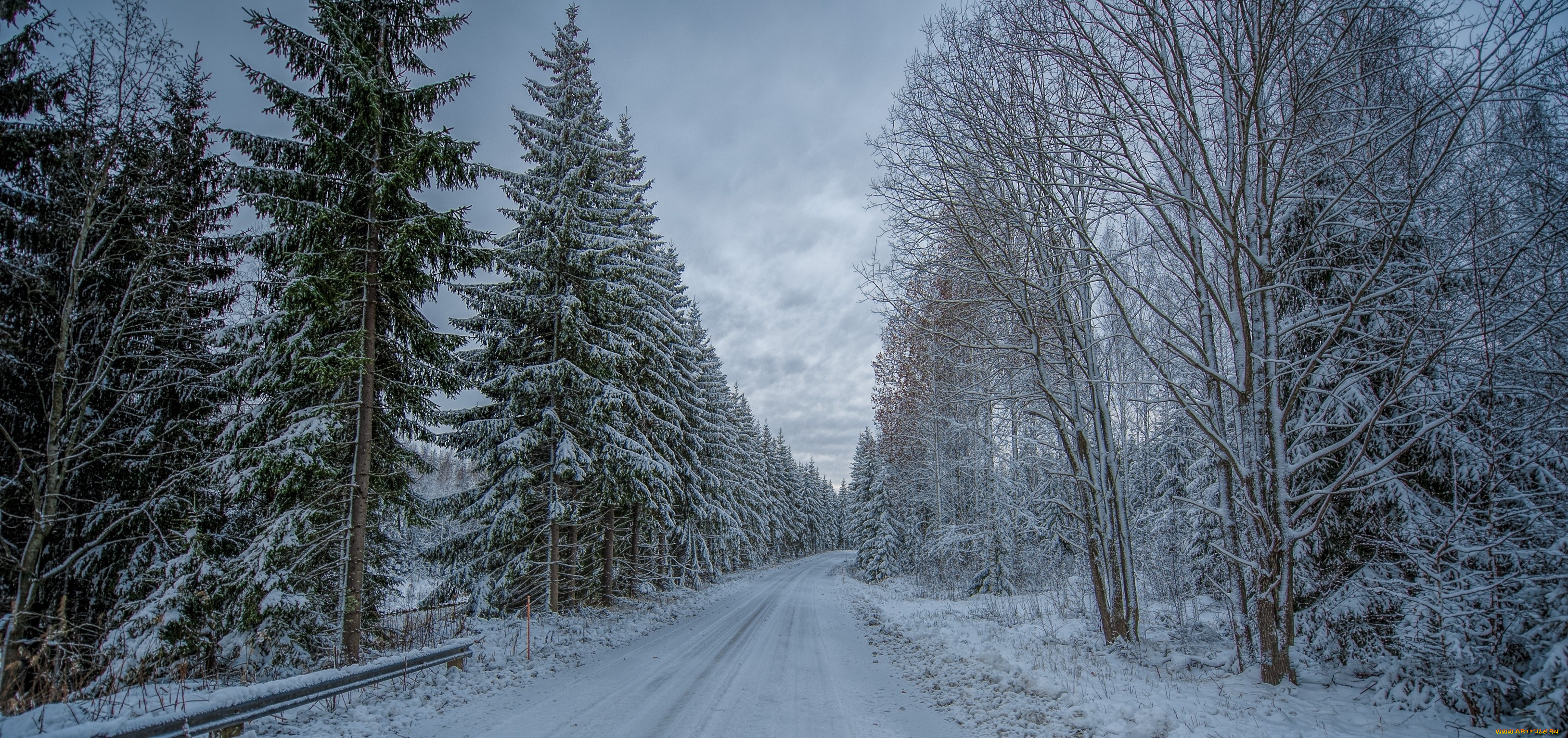 природа, дороги, дорога, зима, лес