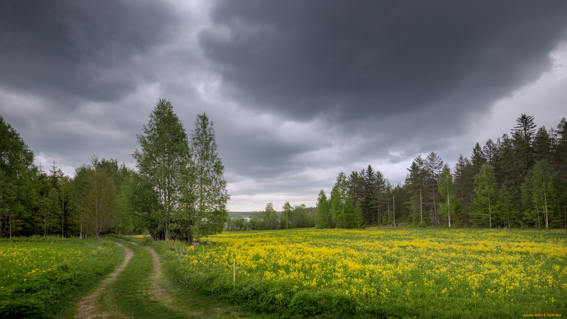 природа, дороги, тракт