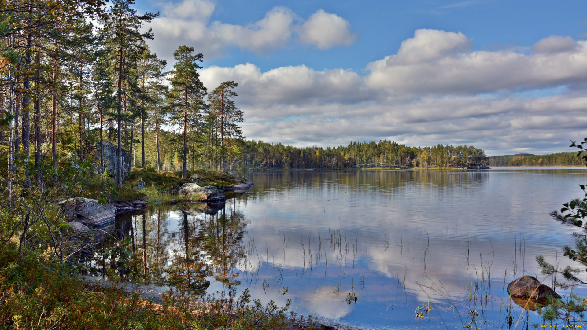 природа, реки, озера, река, лес